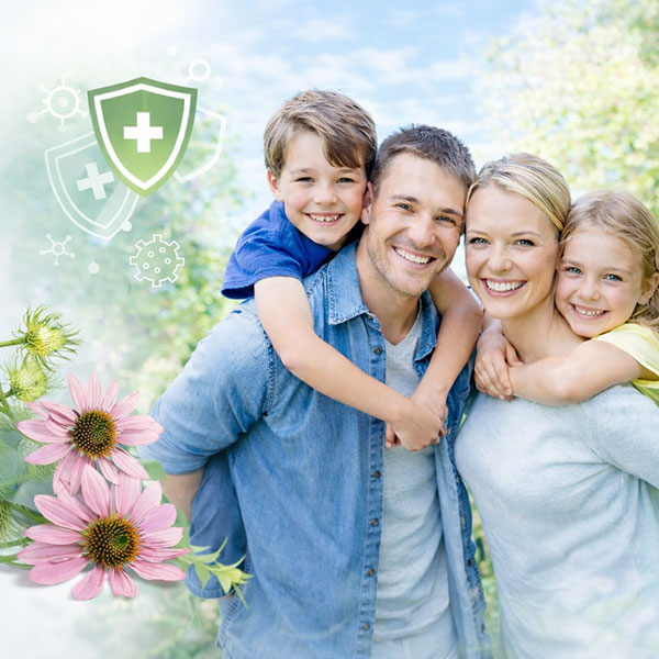 <b>Immune System</b>