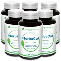 HerbaCal Algen Calcium Nr.1 - 6 Monate Kurpackung