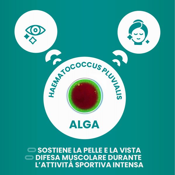 Astaxantina, La Regina Degli Antiossidanti | Alpha Foods - Foto 7