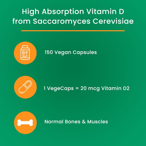 Vitamin D High Absorption Yeast 20µg, 150 VegeCaps