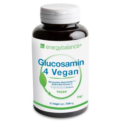 Glucosamin 4 Vegan 729mg, 90 VegeCaps